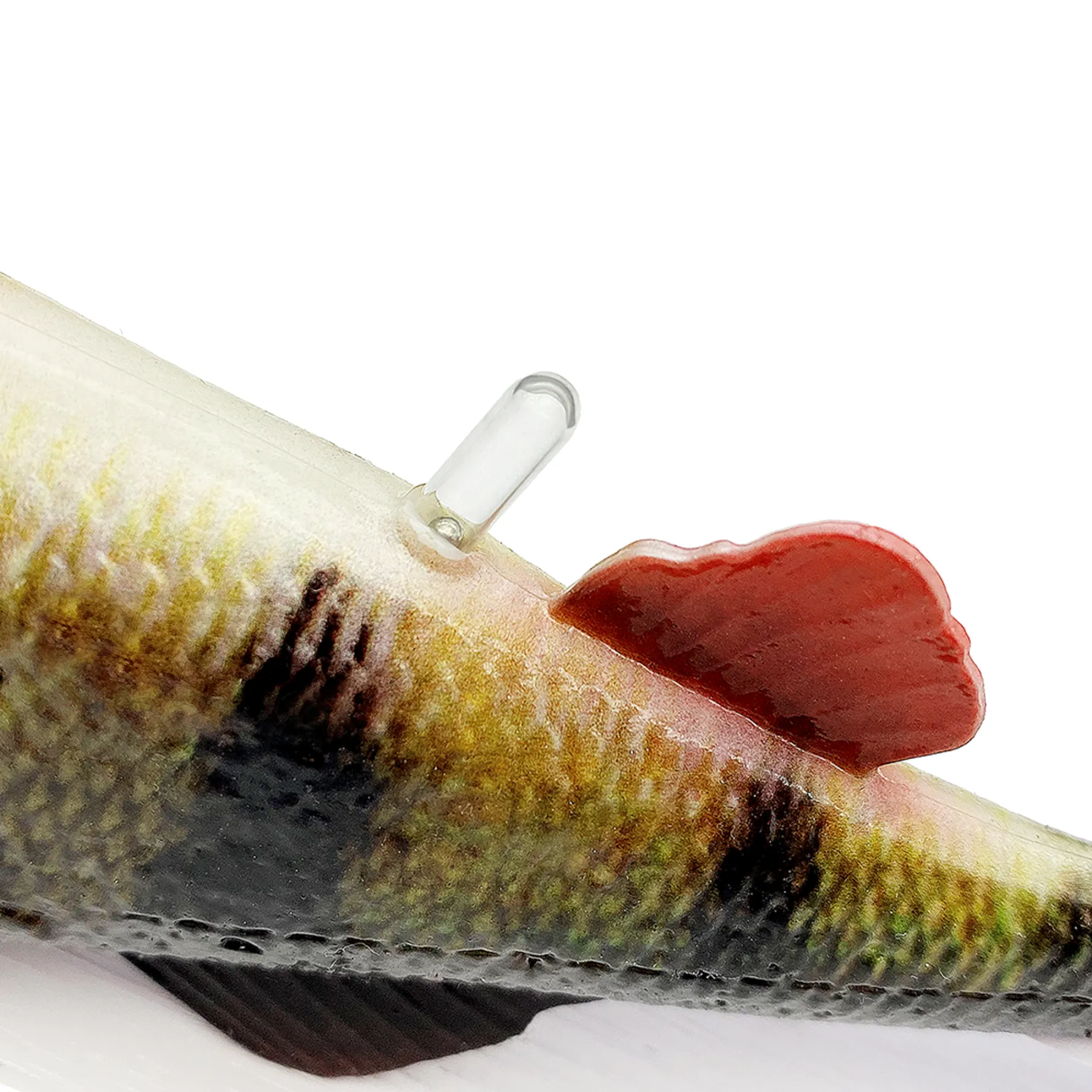 savage-gear-4d-perch-shad-gummifisch