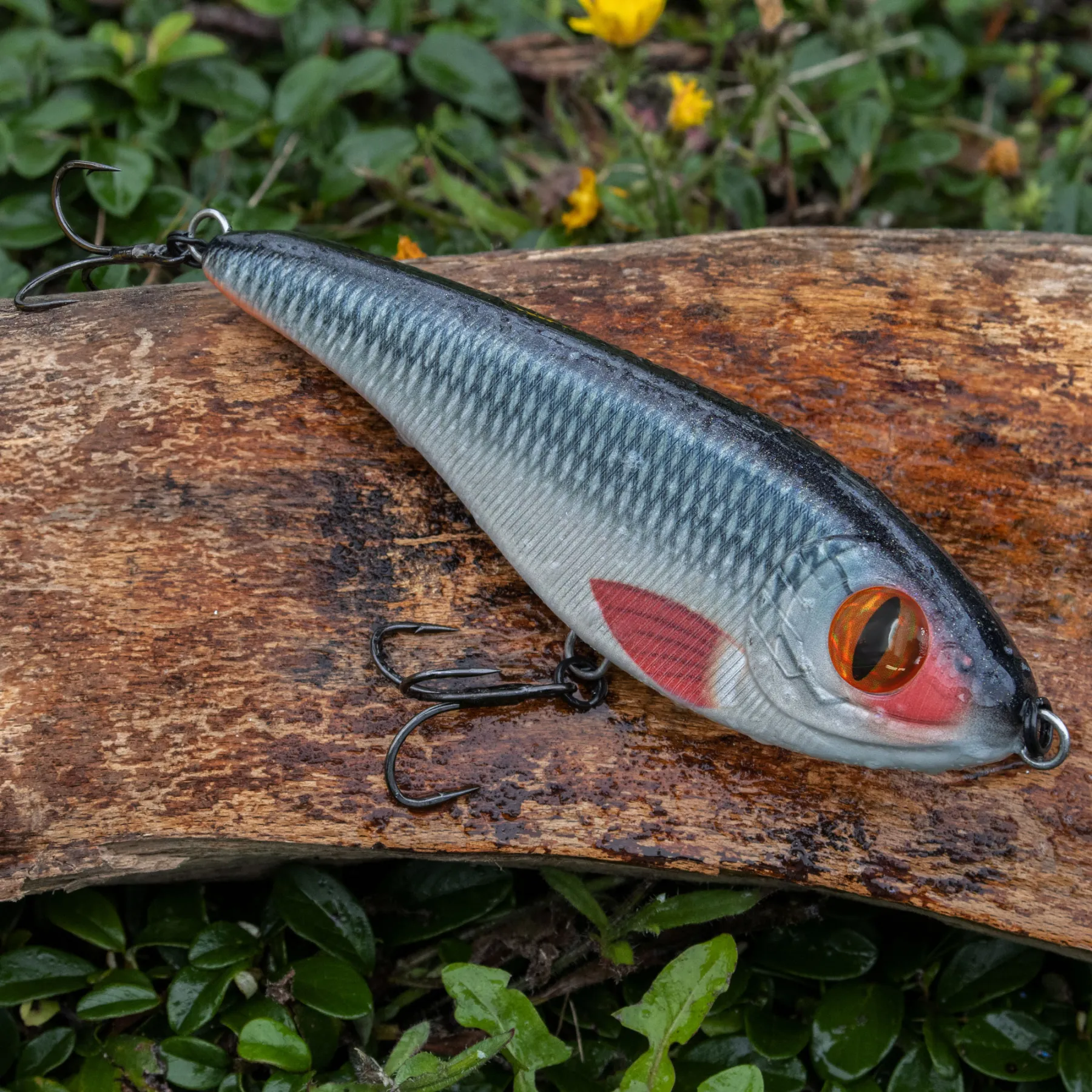 senshu-butcher-jerk-jerkbait