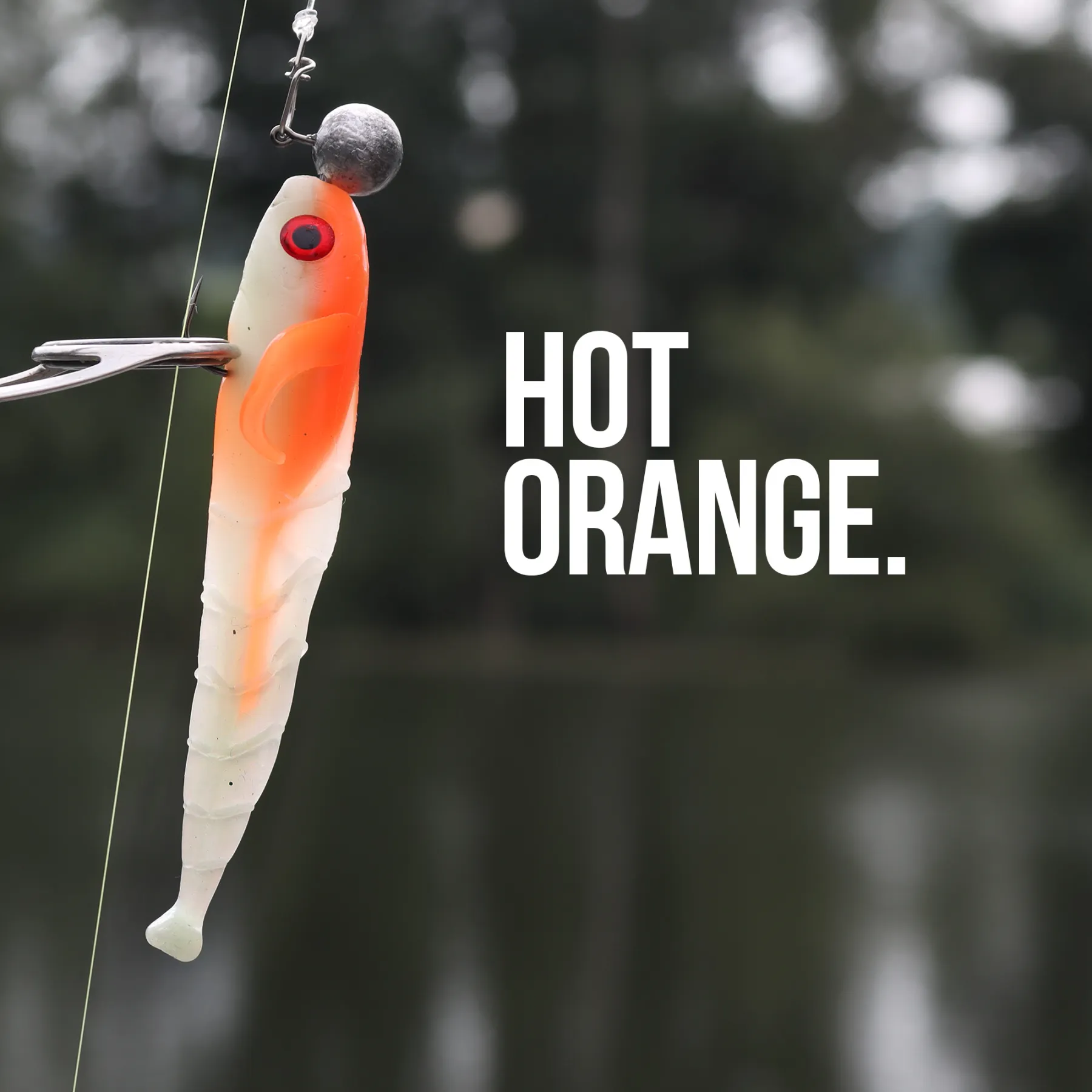 senshu-grundola-gummifisch