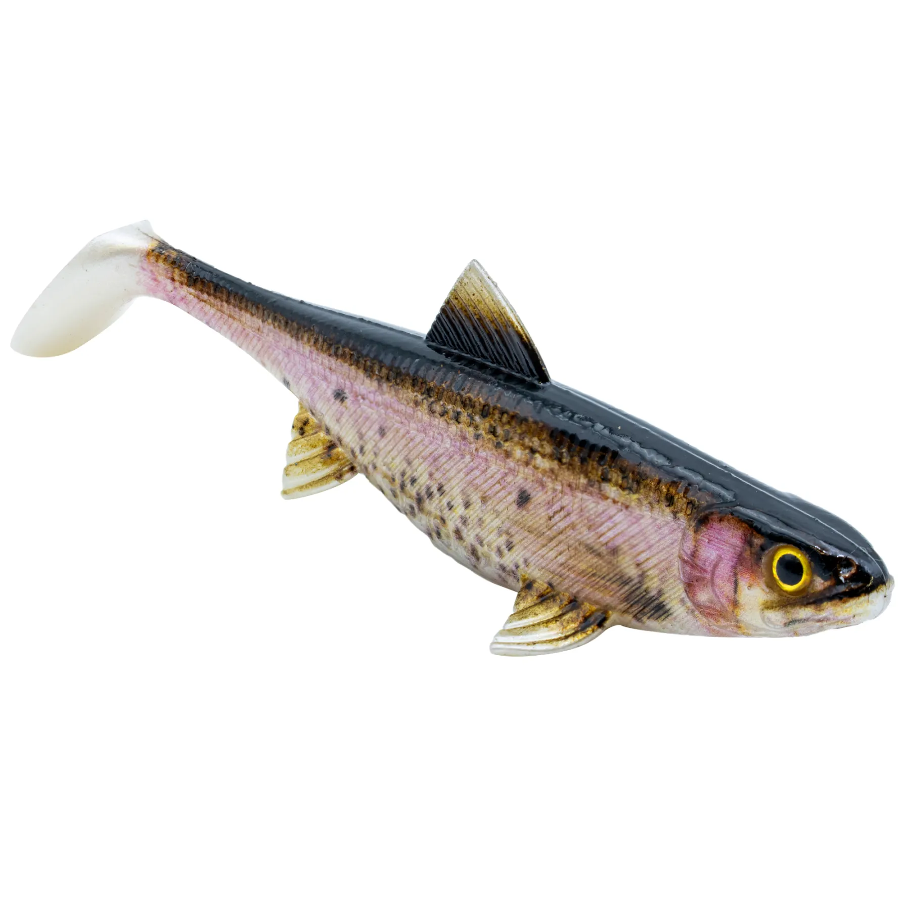 senshu-real-fin-shad-singlepack-gummifisch
