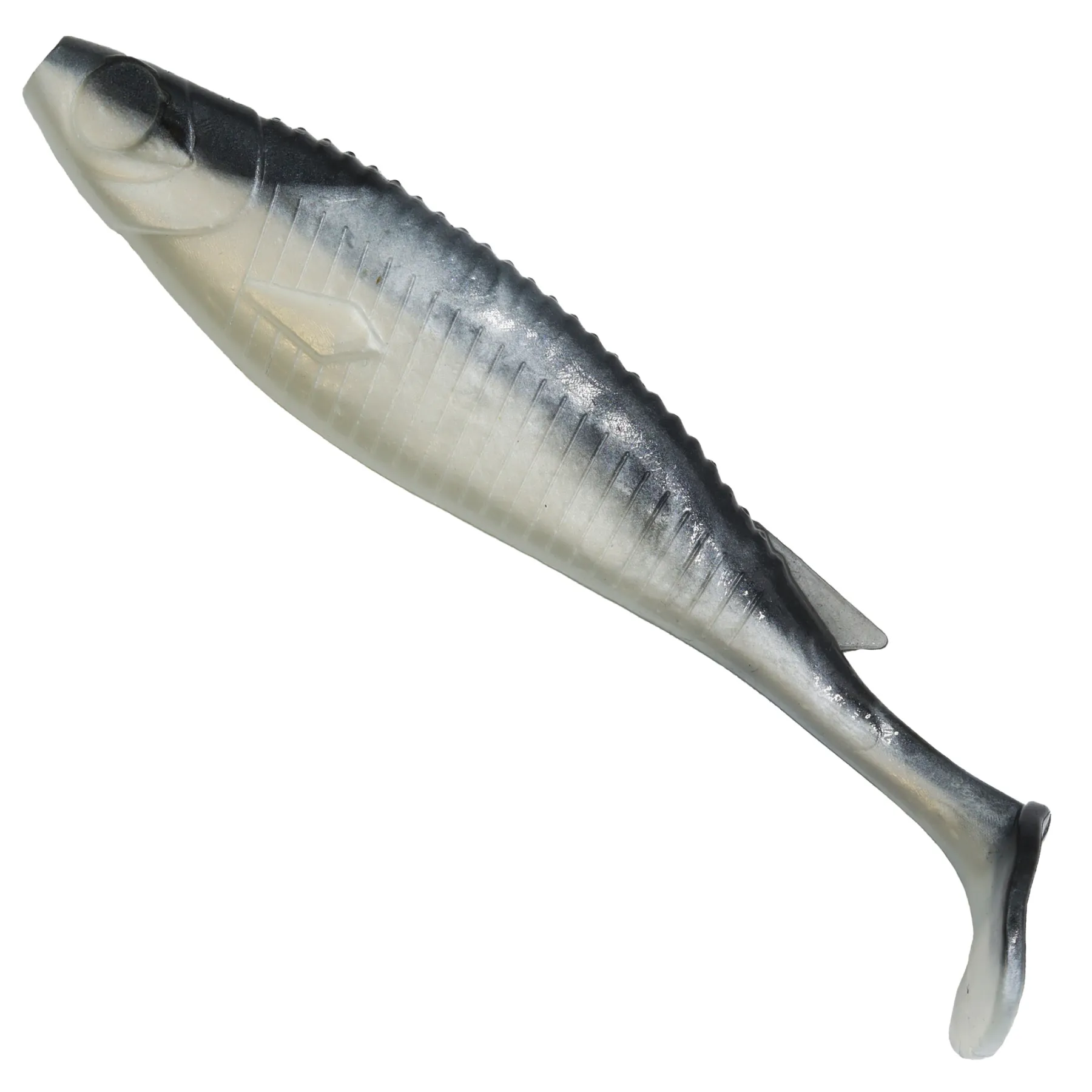 senshu-real-roach-shad-gummifisch