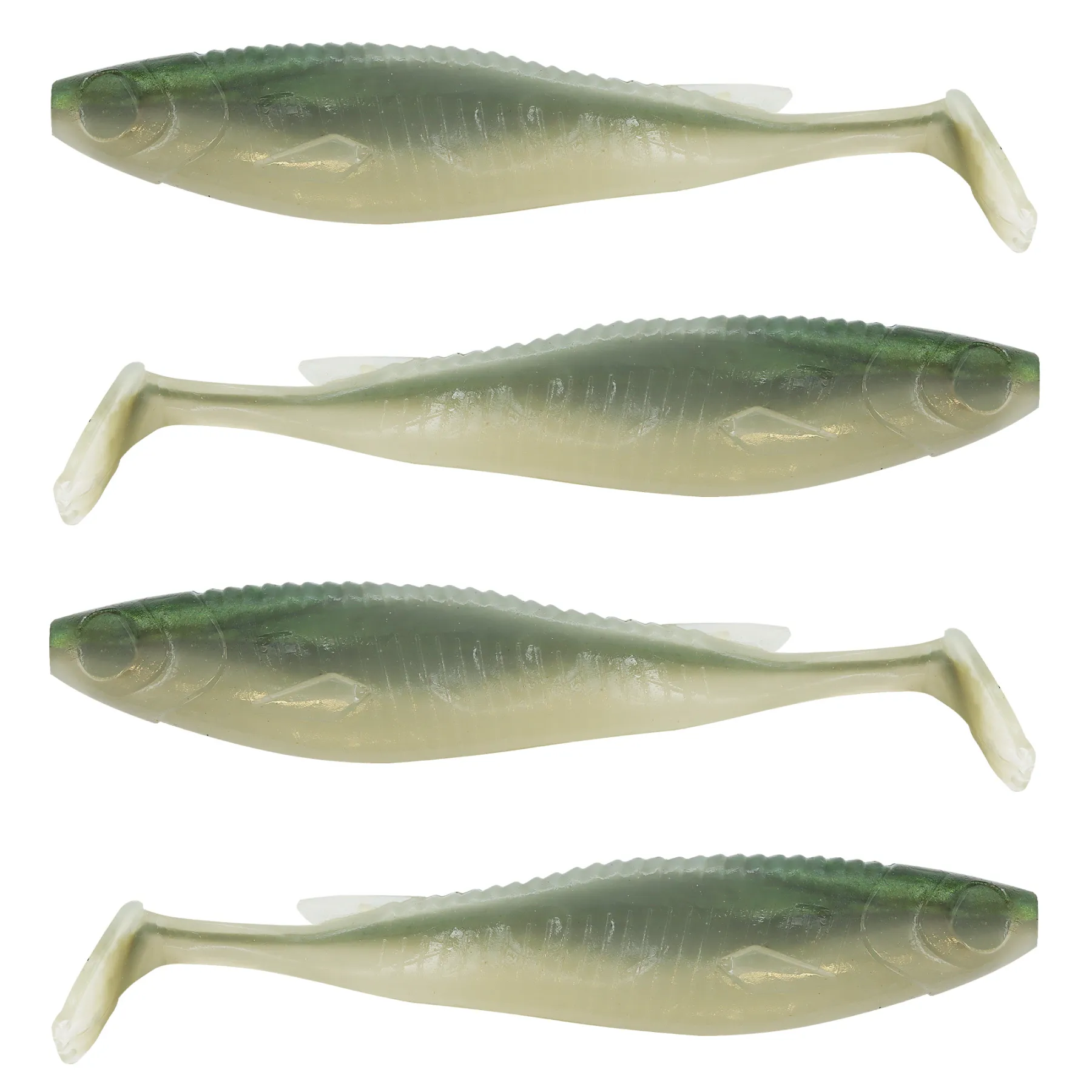 senshu-real-roach-shad-gummifisch