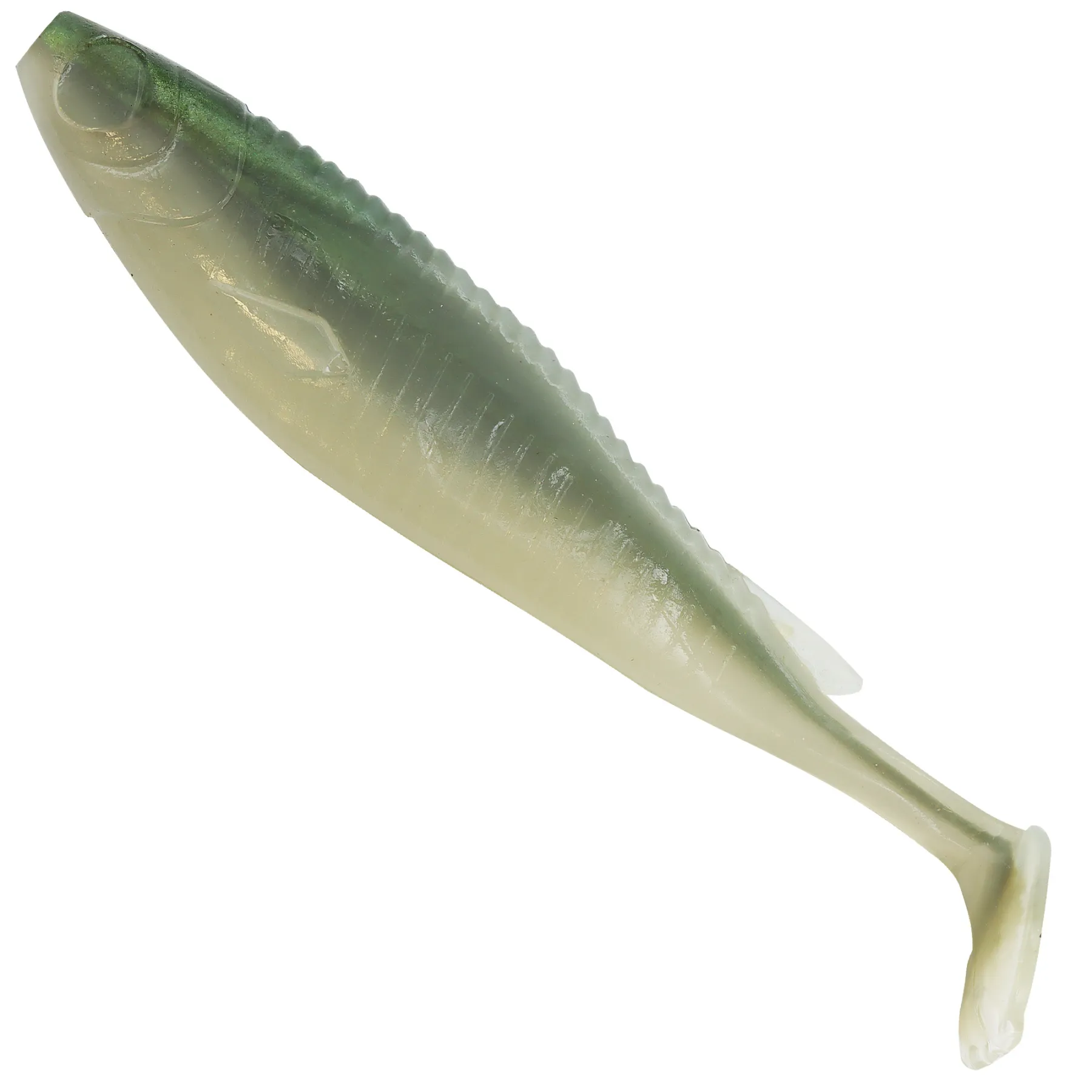 senshu-real-roach-shad-gummifisch