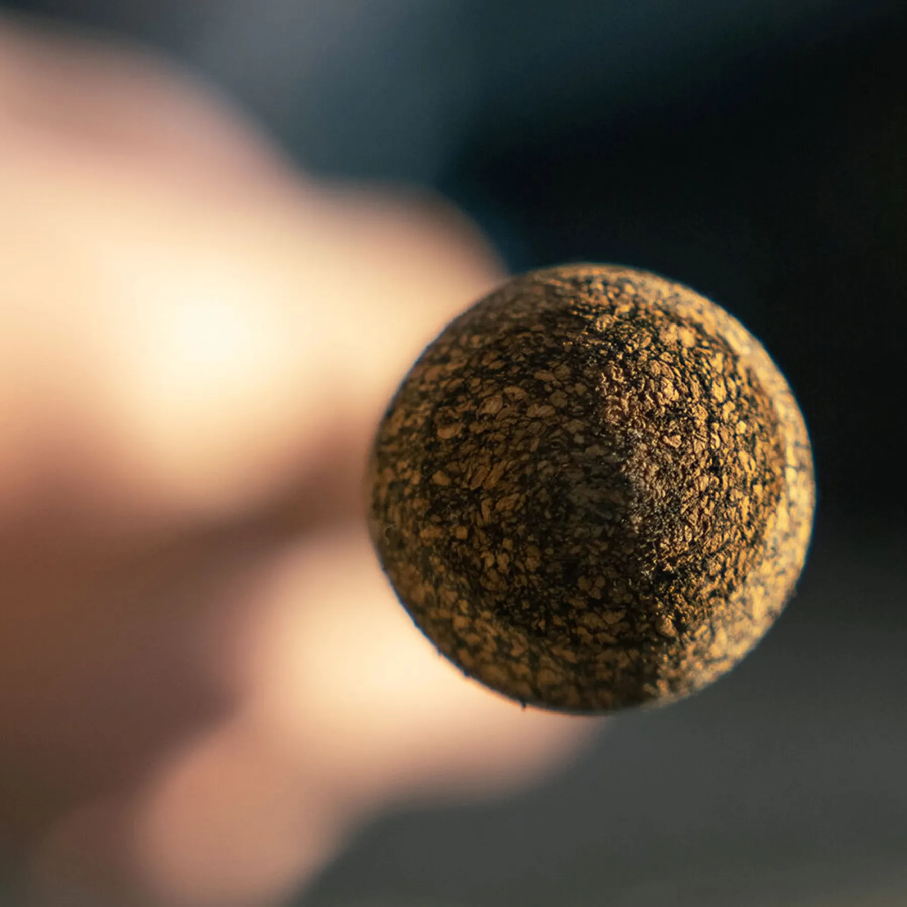 spro-predator-rigde-classic-allround-grundrute