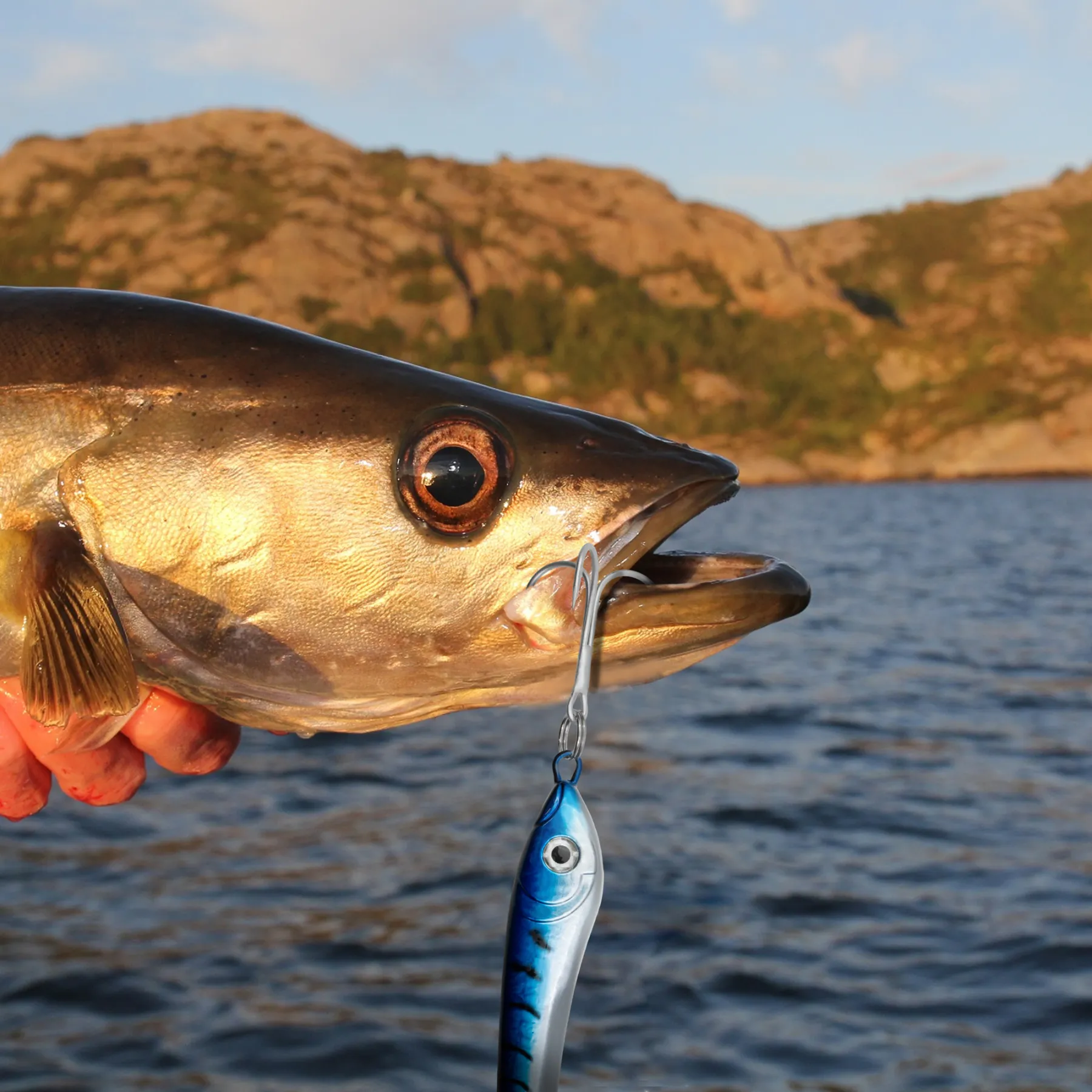 team-deep-sea-bull-head-pilker