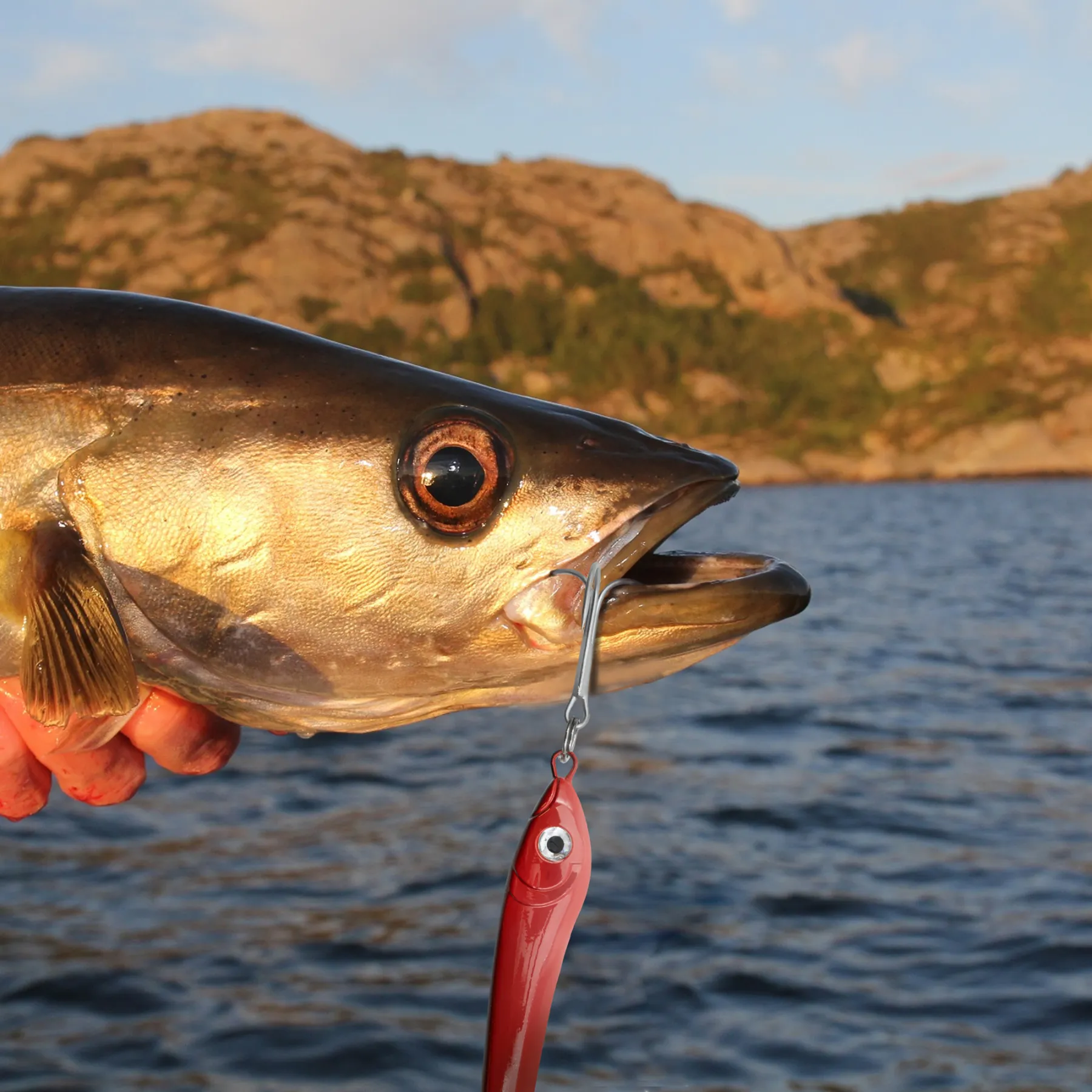 team-deep-sea-bull-head-pilker