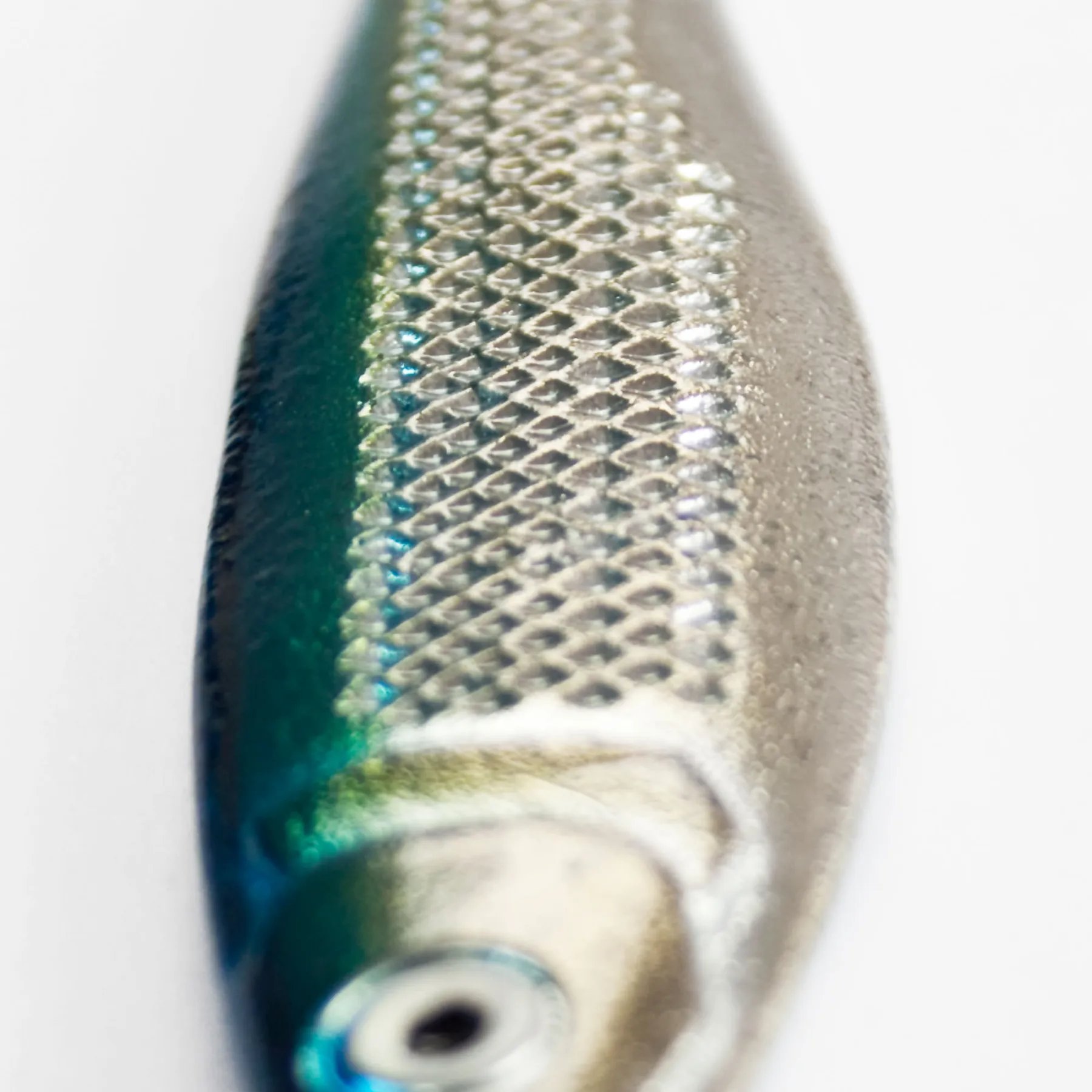 team-deep-sea-heringspilker-pilker