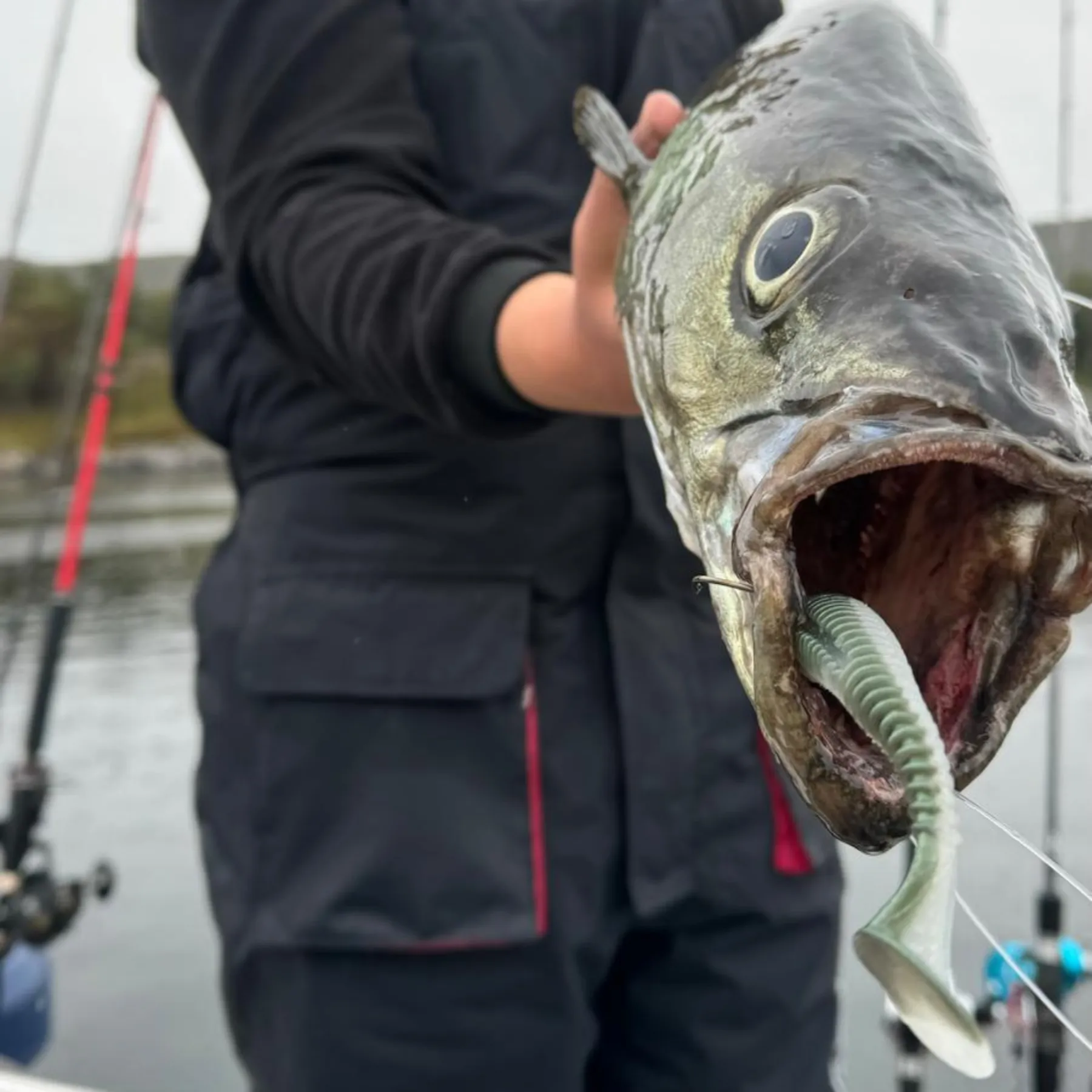 team-deep-sea-seaworm-jr-gummifisch