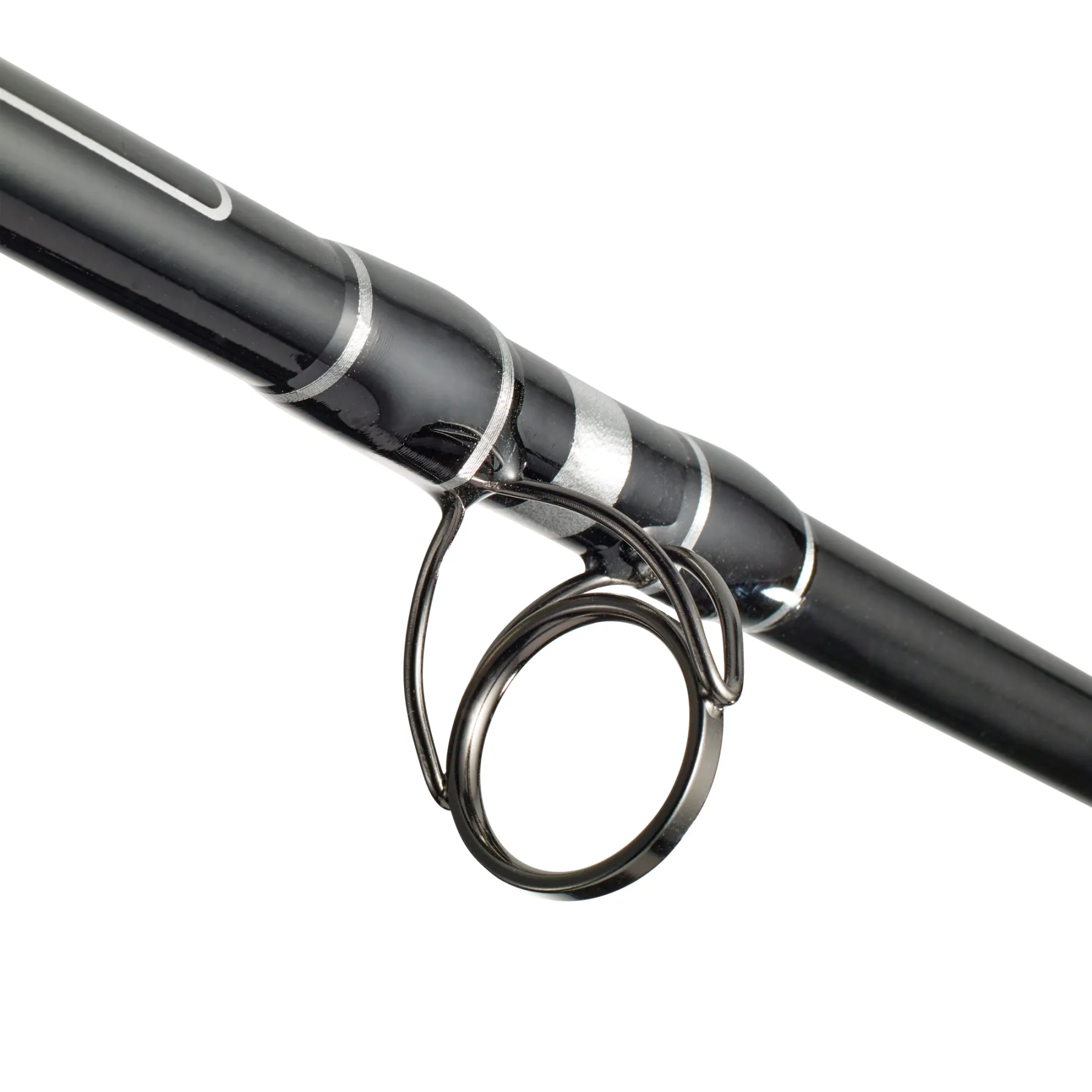 wft-big-cat-bank-cat-wallerrute