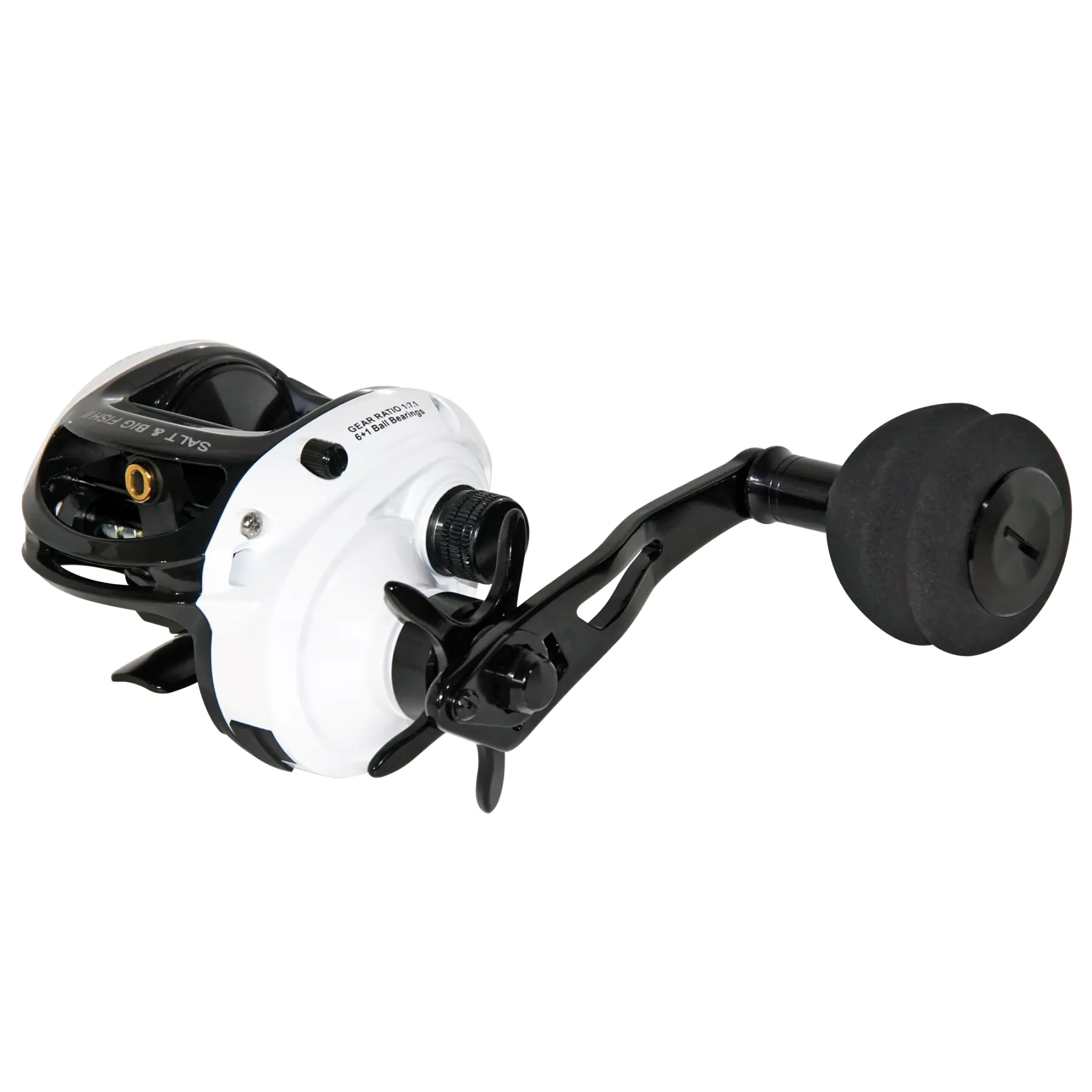 wft-salt-big-fish-ii-low-profile-baitcaster-rolle